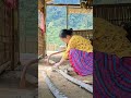 17 year old Lyca harvests wild tubers to sell at the market and makes her own handmade dining table