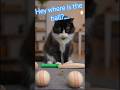 Blacky Is Batting#trend #viral _ "where is ball?"