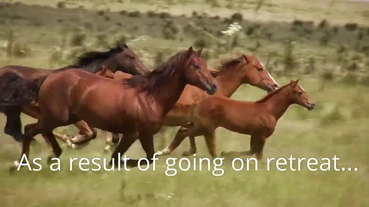 Rebel Sage Retreats