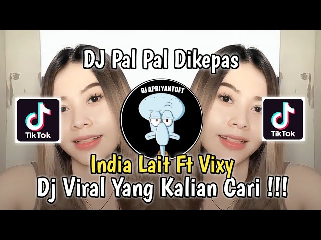 DJ PAL PAL DIL KEPAAS INDIA LAIT FT VIXY VIRAL TIK TOK TERBARU 2023 YANG KALIAN CARI ! class=