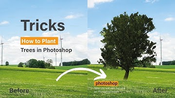 How to Plant Trees in Photoshop | Easy Photoshop Tutorial