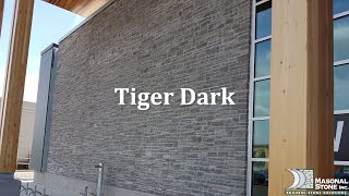 Famous Tiger Dark Limestone from Masonal Stone Wealth