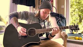 Blink182  Going Away To College acoustic Cover