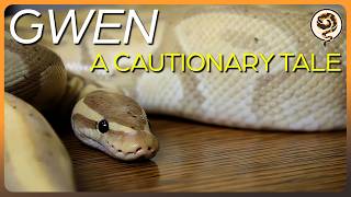 Celebrity We don't let people hold our Ball Pythons anymore - This is Why Net Worth