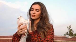 Zülüf Dökülmüş Yüze India Instrumental Radio Mix Hit Music Chill