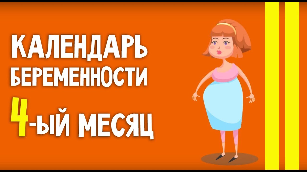 Беременность | 4 месяц