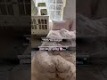 Spring Bedroom Refresh 🌸 Soft Cotton Bedding Makeover | Cozy Aesthetic Room