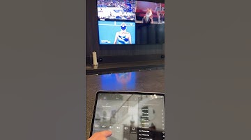 SAVANT Multiview is the best user experience!