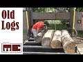 Sawing Old Logs - How long can I wait before sawing logs into lumber?