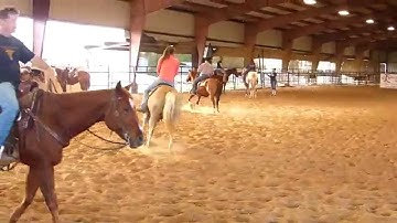 Miss Little Somethen - sorting practice - warming up - clip #1 - Valley View Ranch