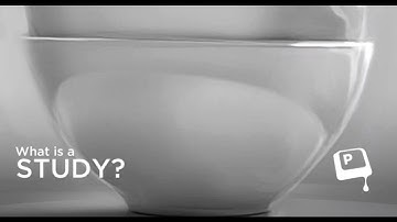 What is a study (CtrlPaint.com)