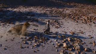 Goodbye, Little Buddy Fallen Heroes Dino Headstones Ark Survival Ascended Mod