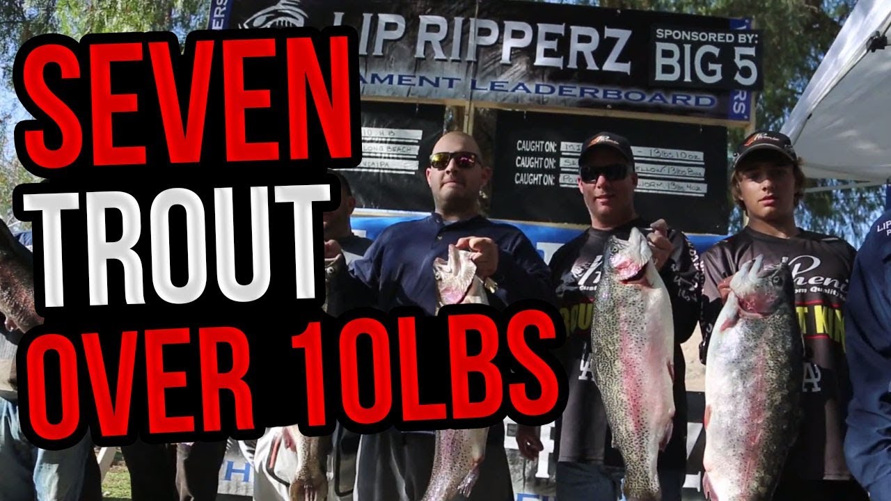Lip Ripperz Riper Rats SEVEN Trout over 10LBS caught at Lip RipperZ Fishing Tournament - YouTube