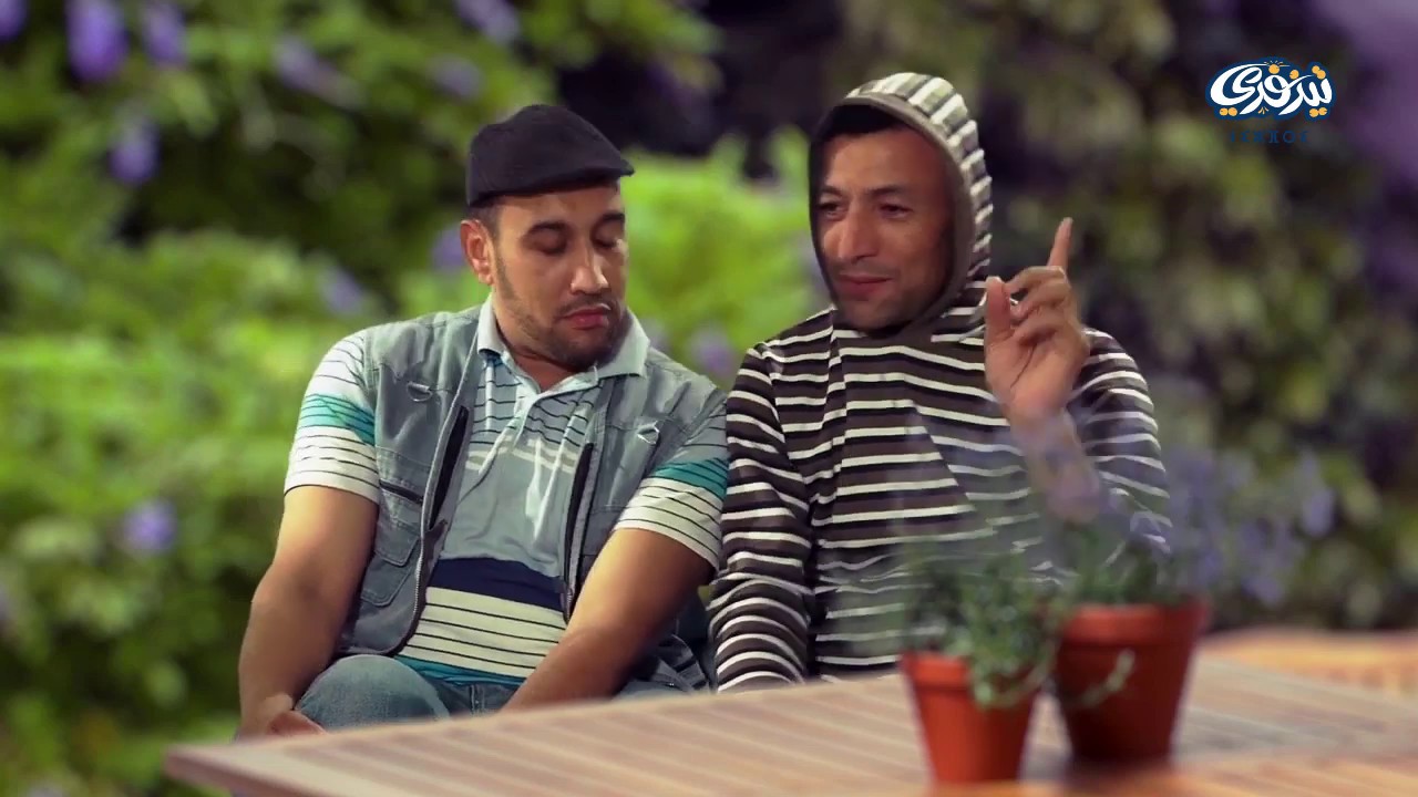 فاجافولتش - تينفاس 6