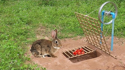 Best Unique Creative Easy Quick Rabbit Trap Make From Bamboo and Deep Hole That Work 100%.