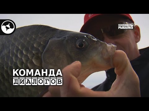 Поплавочная ловля. Карась. Рыбалка на Днепре | Новые Диалоги