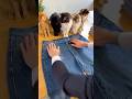 These Cats Destroyed My Jeans—But Wait for the Ending 🐱👖 #funnycats #petfails
