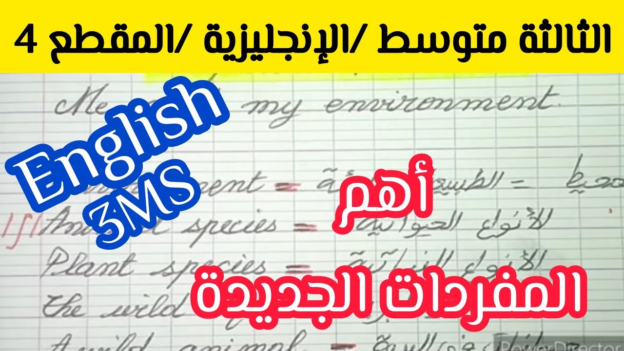 أهم مفردات المقطع 4 الإنجليزية للثالثة متوسط