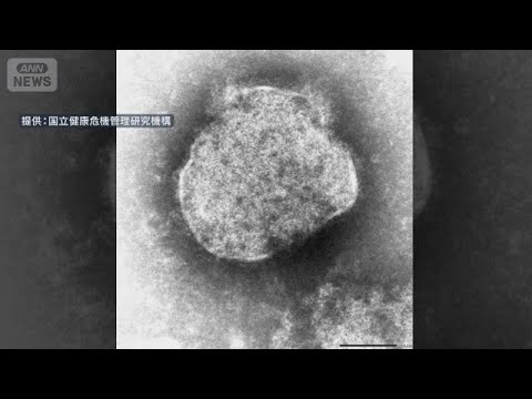 Measles cases 