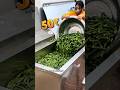 Okra Chips Business |🌶️ Spiced Healthy Snack Se Banao Apni Pehchaan Aur Profit! #startup