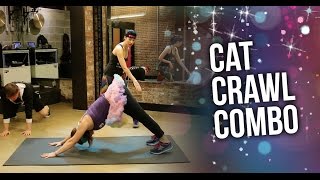 Cat Crawl Combo
