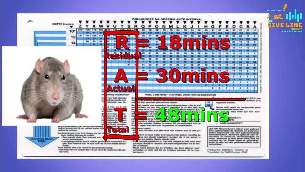PADI RDP Dive Table Introduction, How To basics, Easy to follow with