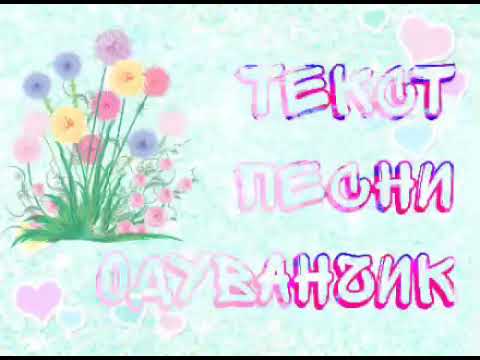 Тим белорусский -одуванчик(текст песни)