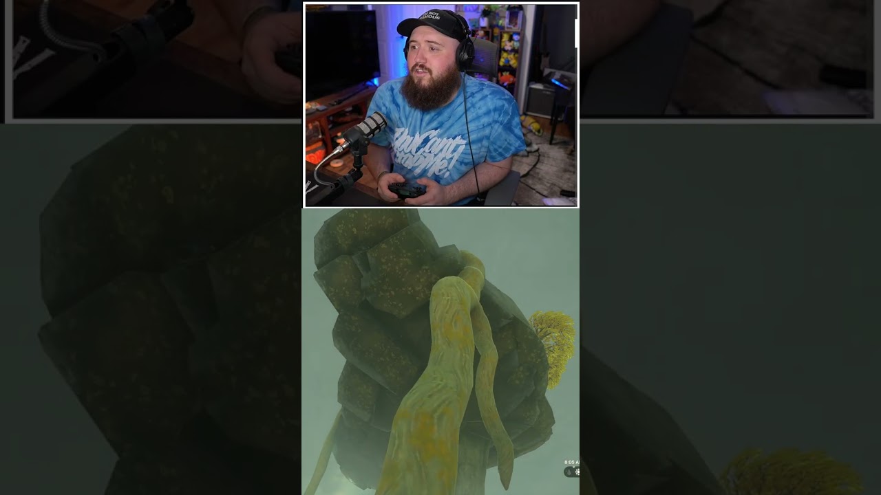 Link Now Controls All Weather In Hyrule 