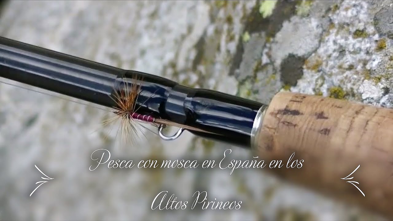 Pesca con mosca en España en los Altos Pirineos