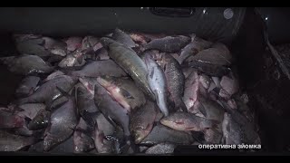 Як Полтавський рибпатруль ловить порушників нерестової заборони