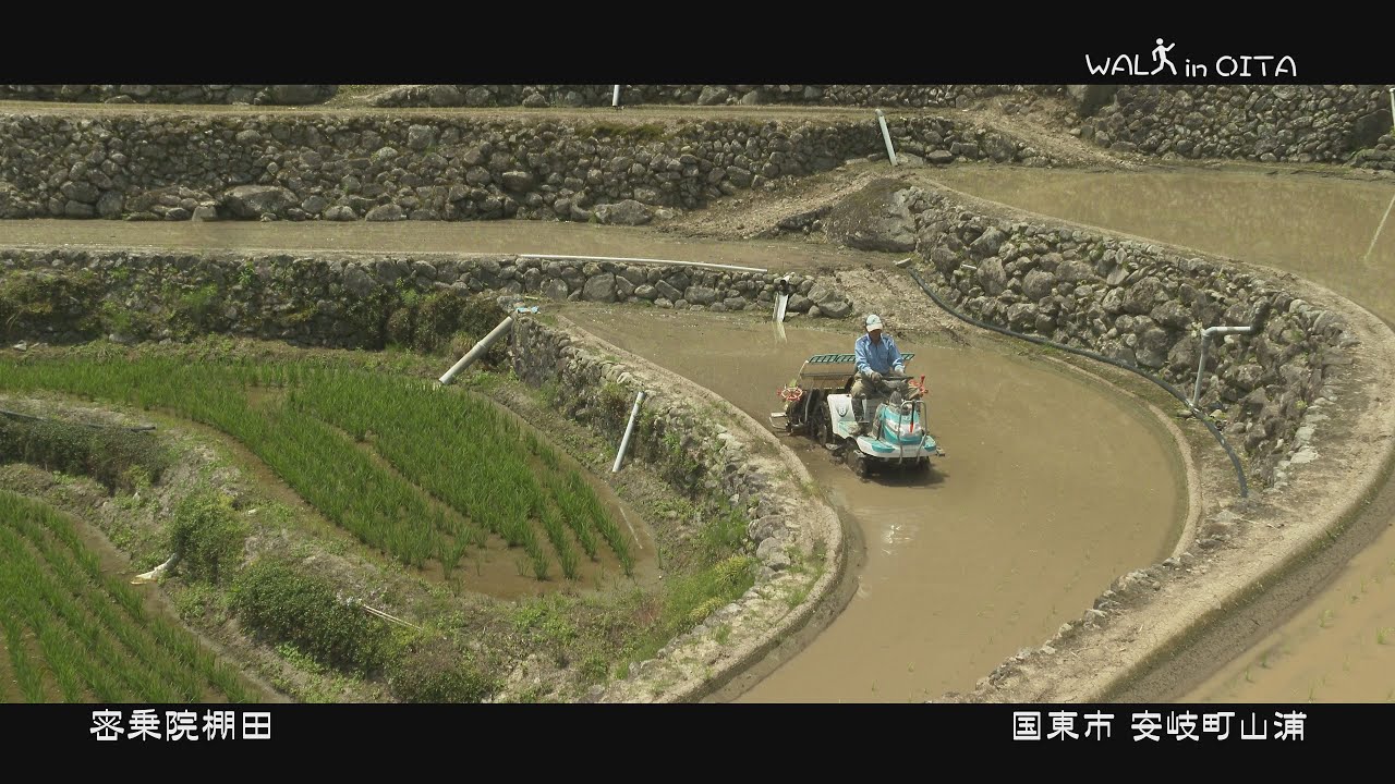 WALK in OITA 密乗院棚田 ４K 国東市