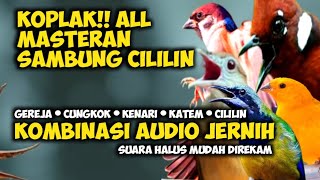 Download Lagu KOPLAAKK!!! MASTERAN AUDIO JERNIH || GEREJA TARUNG || CUNGKOK || KATEM || KENARI || CILILIN MP3 Download Lagu KOPLAAKK!!! MASTERAN AUDIO JERNIH || GEREJA TARUNG || CUNGKOK || KATEM || KENARI || CILILIN MP3