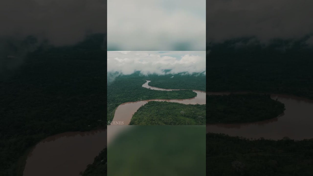 Rare Pink Dolphin & Howler Monkey Up Close! 