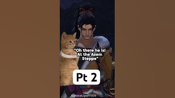 Stormblood explained with cat memes pt 2 #ffxivmemes #shorts #catmemes