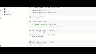 Basic File Handling in 333 seconds #Python #class12computerscience #class11computerscience #class11