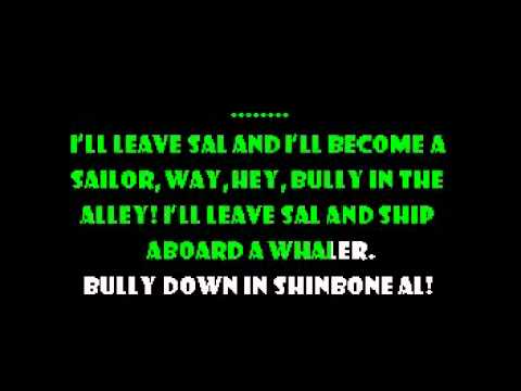 Bully In The Alley - Paddy and the Rats Karaoke