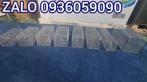 Lồng bẫy sóc. Lồng bẫy dông cát. Lồng bẫy bìm bịp. Lồng bẫy cống nhum. Lồng bẫy chồn đèn  bạc má.