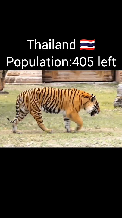 Tiger population of each country part 2 #viralvideo  #youtubeshorts