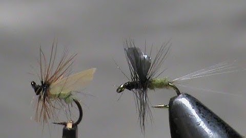 My Top Fishing Flies #6 with Jim Misiura