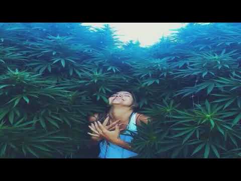 Special for ლაუდ სპიკერი Я подарю тебе Ganja