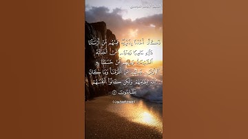 سورة العنكبوت من  آية 40 إلى آية 41 بصوت الشيخ ياسر الدوسري♥♥