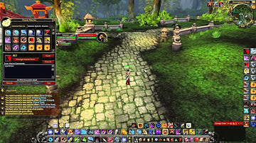 Robotix MoP Hunter Macro Guide