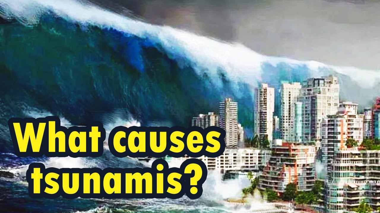 What is tsunami caused by What is tsunami caused by