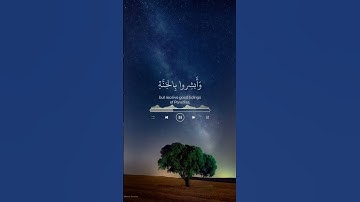 قرآن کریم🫀💕 #تلاوة #قرآن #تلاوة_خاشعة #اكسبلور