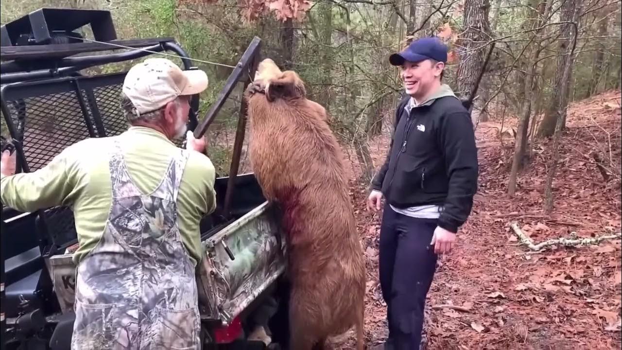 Texas Hog Hunting Langley Ranch YouTube