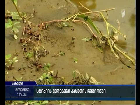 სტიქიის შედეგად ყველაზე მეტად კახეთი დაზარალდა