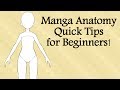 Manga Anatomy Quick Tips for Beginners!