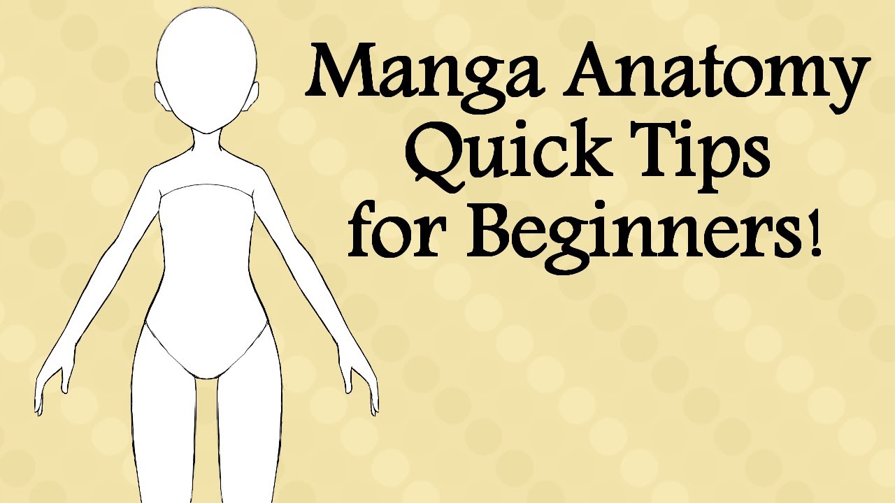 Manga Anatomy Quick Tips for Beginners YouTube