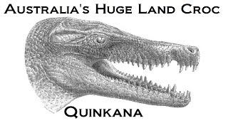 Prehistoric Breakdown: Quinkana
