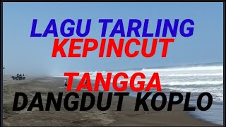 LAGU TARLING KEPINCUT TANGGA DANGDUT KOPLO